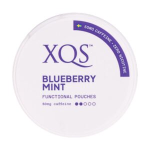 Blueberry Mint Nicotine Pouches by XQS