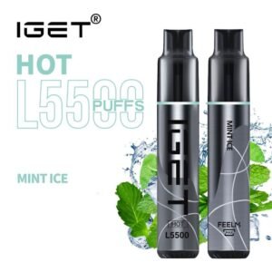 iGET HOT VAPE 5500 PUFF – MINT ICE