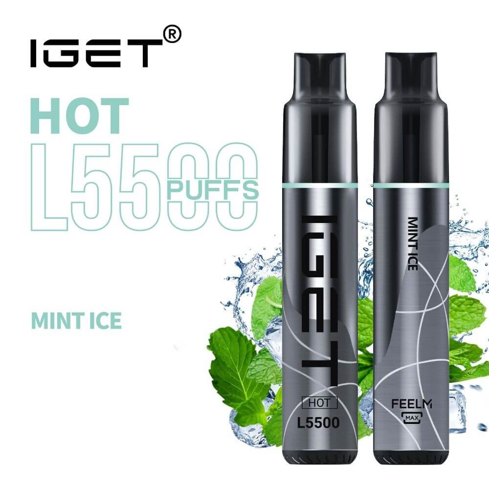 iGET HOT VAPE 5500 PUFF – MINT ICE