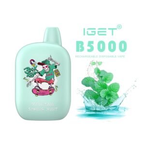 iGET B5000 VAPE 5000 PUFF – MOUNTAIN SPRING MINT